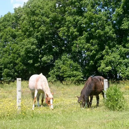Lejlighed Fachwerkhaus, Hof Zur Sonnenseite Fehmarn Sahrensdorf